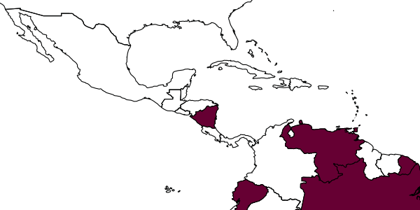 map of Anisepyris hunthori     Barbosa & Azevedo, 2018